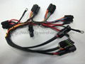 Lamp Harness/Lamp wireharness