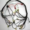 Wireharness/wiring harness/wire assembly