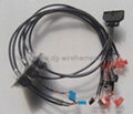 Wireharness/wiring harness/wire assembly