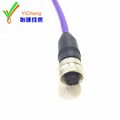 M12 sensor cable assembly