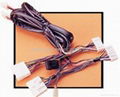 Power window wireharness