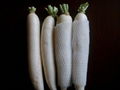 White radish 2