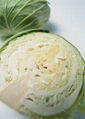 Cabbage 2