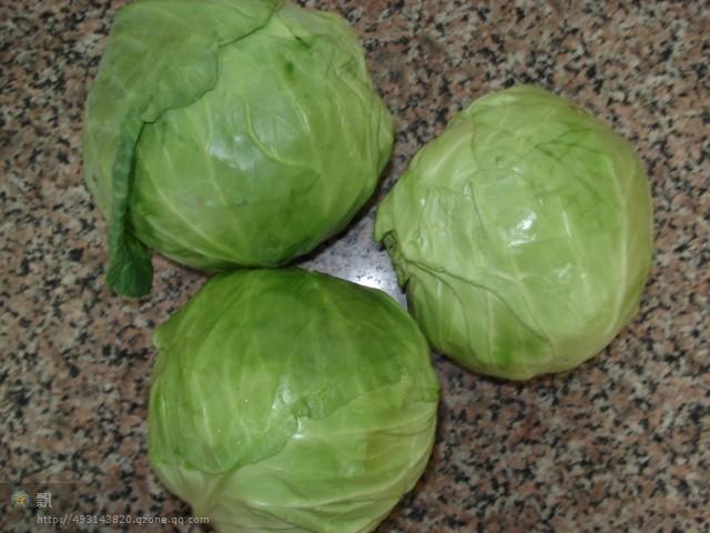 Cabbage