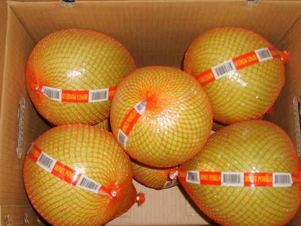 Pomelo 2