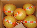 Pomelo 2