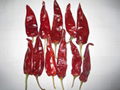 Dry chilli 4