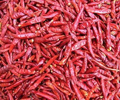 Dry chilli