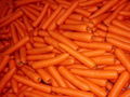 Carrot 1