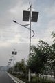 Solar Powered Street Lighting