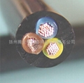 Inclin Probe Cable 