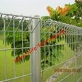 hot dipped galvanized or powder coating roll top fence factory