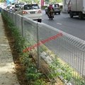 Roll Top Mesh Panel Fencing 3