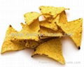 Tortilla corn chips machines