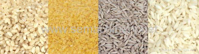 Nutritional artificial rice/Enriched rice extruder 3