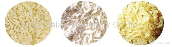 营养强化大米生产线 2