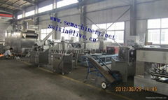 co-extrusion snack extruder 