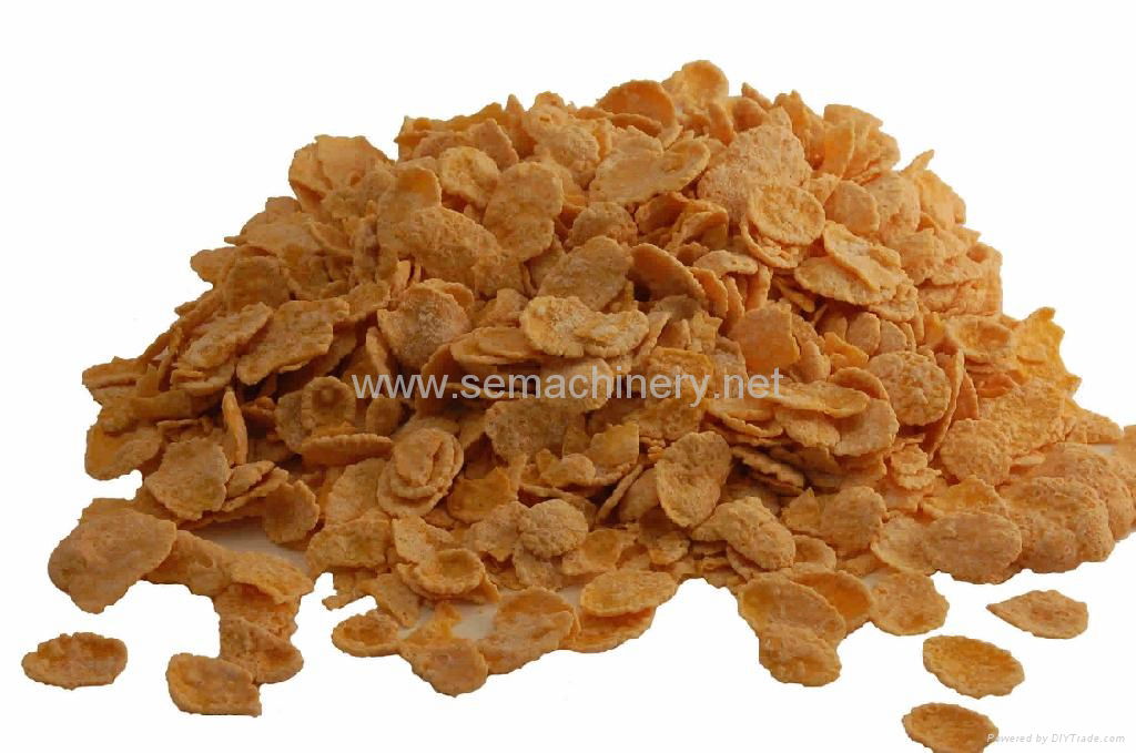 corn flakes processing line 4