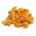 corn flakes processing line