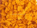 corn flakes production line  4