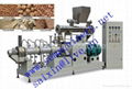 Twin screw extruder