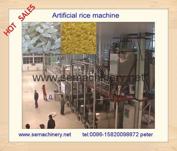 artificial rice machine 1