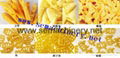 3d snack pellet machine 4