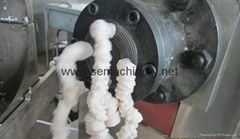 Oil drilling Starch Extruder machine