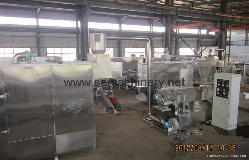 Fish food extruder machine 3