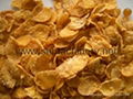 corn flakes making machinery