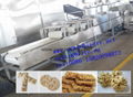 Cereals Bar Machinery 