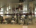 Artificial rice processing line