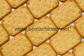 Automatic biscuits processing line  4