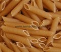 Italy Macaroni pasta pellets extruder machine