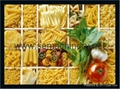 Italy Macaroni pasta pellets extruder machine 4