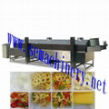 Automatic Continuous Fryer(electricity,gas or diesel)