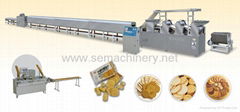 Automatic biscuits processing line 