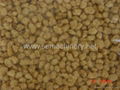 Textured soy protein processing line