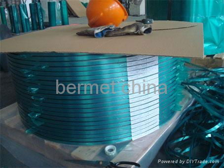 copolymer coated steel tape