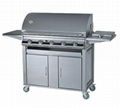 Gas Grill 1