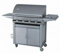 Gas Grill 1