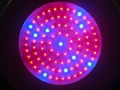 led grow light