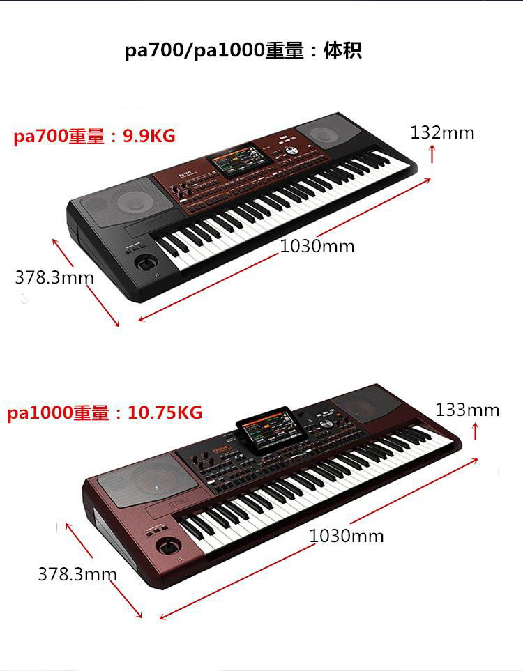 科音KORG Pa700編曲電子琴-送中文操作視頻 3