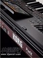科音KORG Pa4X 61.76键专业编曲机送民乐音色