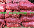 sell pp leno mesh bags onion mesh bags  1