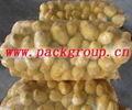 sell pp mesh bags potato mesh bags