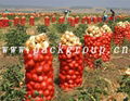 sell onion mesh bags pp mesh bags 2