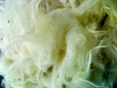 Coarse Mattress wool 