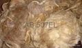 Light grey coarse carpet fleece wool 1