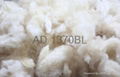 scoured crossbred carpet wool
